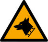 Segnale ISO 7010 W013: Pericolo cani da guardia