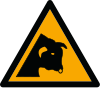 Segnale ISO 7010 W034: Pericolo tori