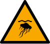 Segnale ISO 7010 W069: Pericolo meduse